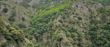 A mountainous landscape with dense green vegetation and rocky cliffs.