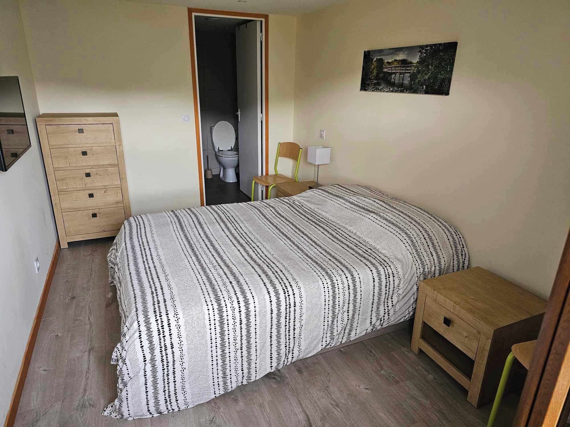 A bedroom with a bed, a wooden dresser, a chair, a bedside table, a toilet, and a painting on the wall.