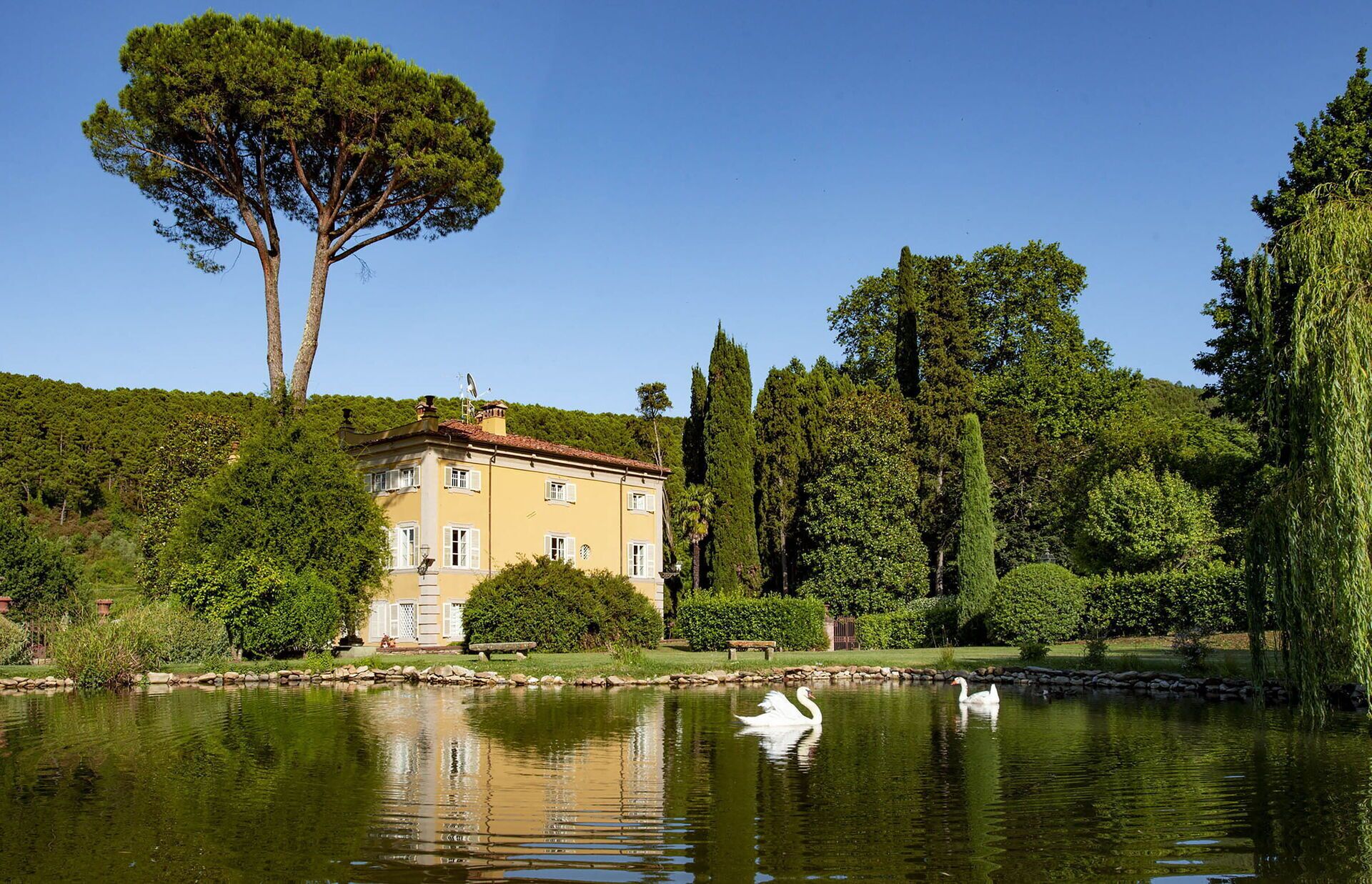 A serene lakeside property with a large building, surrounded by lush greenery and tall trees.
