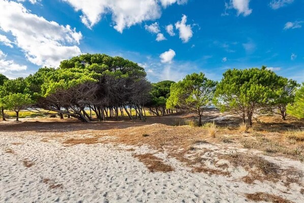 Beach nearby - Casa Pompia 4 - Two Bedroom Apartment, Sleeps 4 (Siniscola)