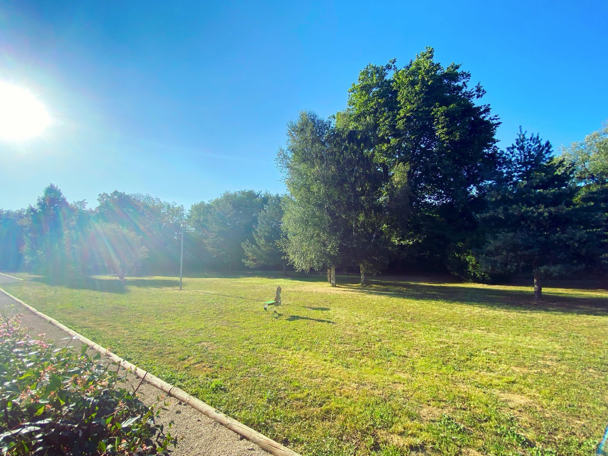 Ein Park mit Rasenflächen, Bäumen und blauem Himmel.