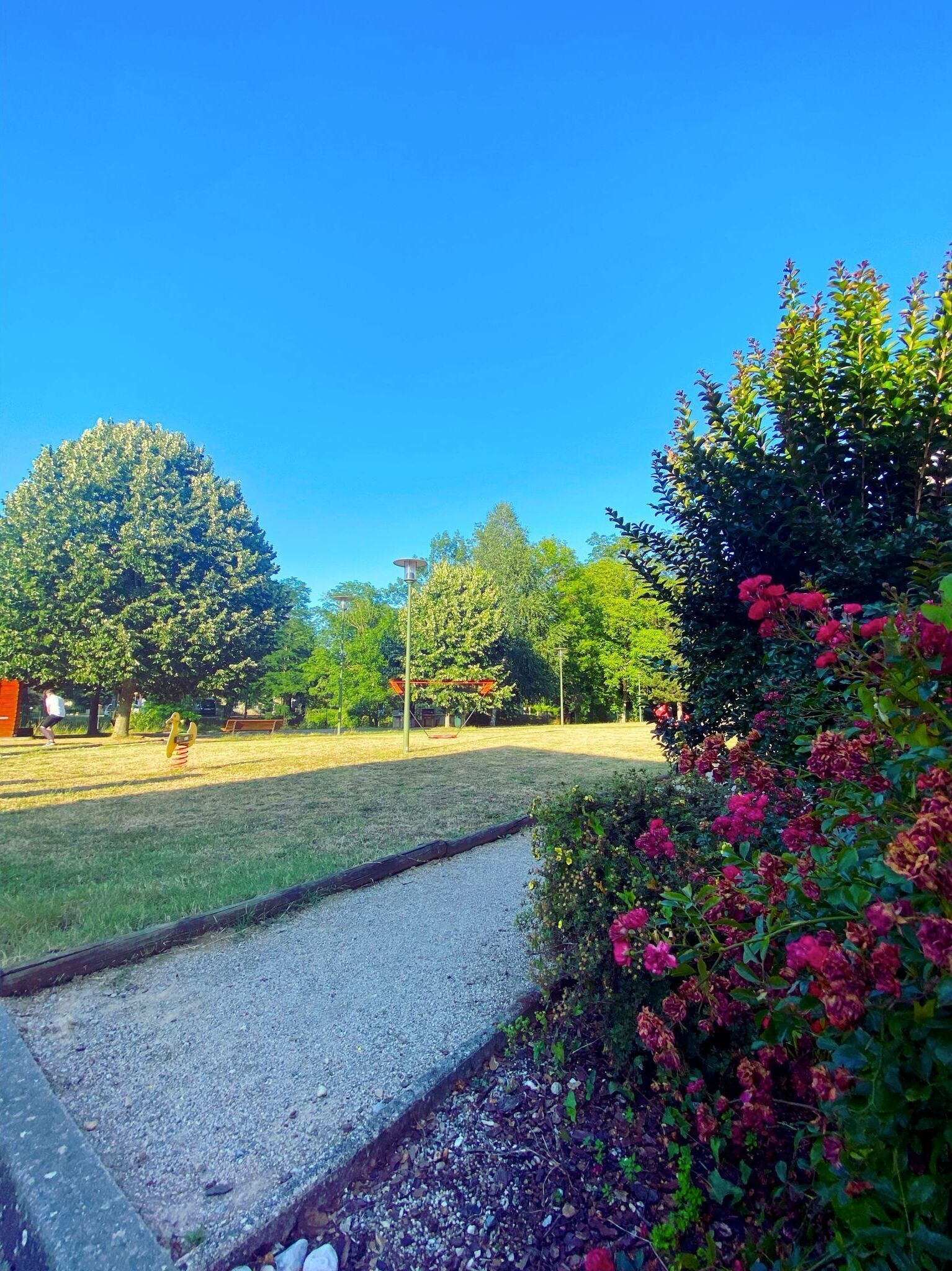 Un parco con un vialetto lastricato, erba verde e alberi.