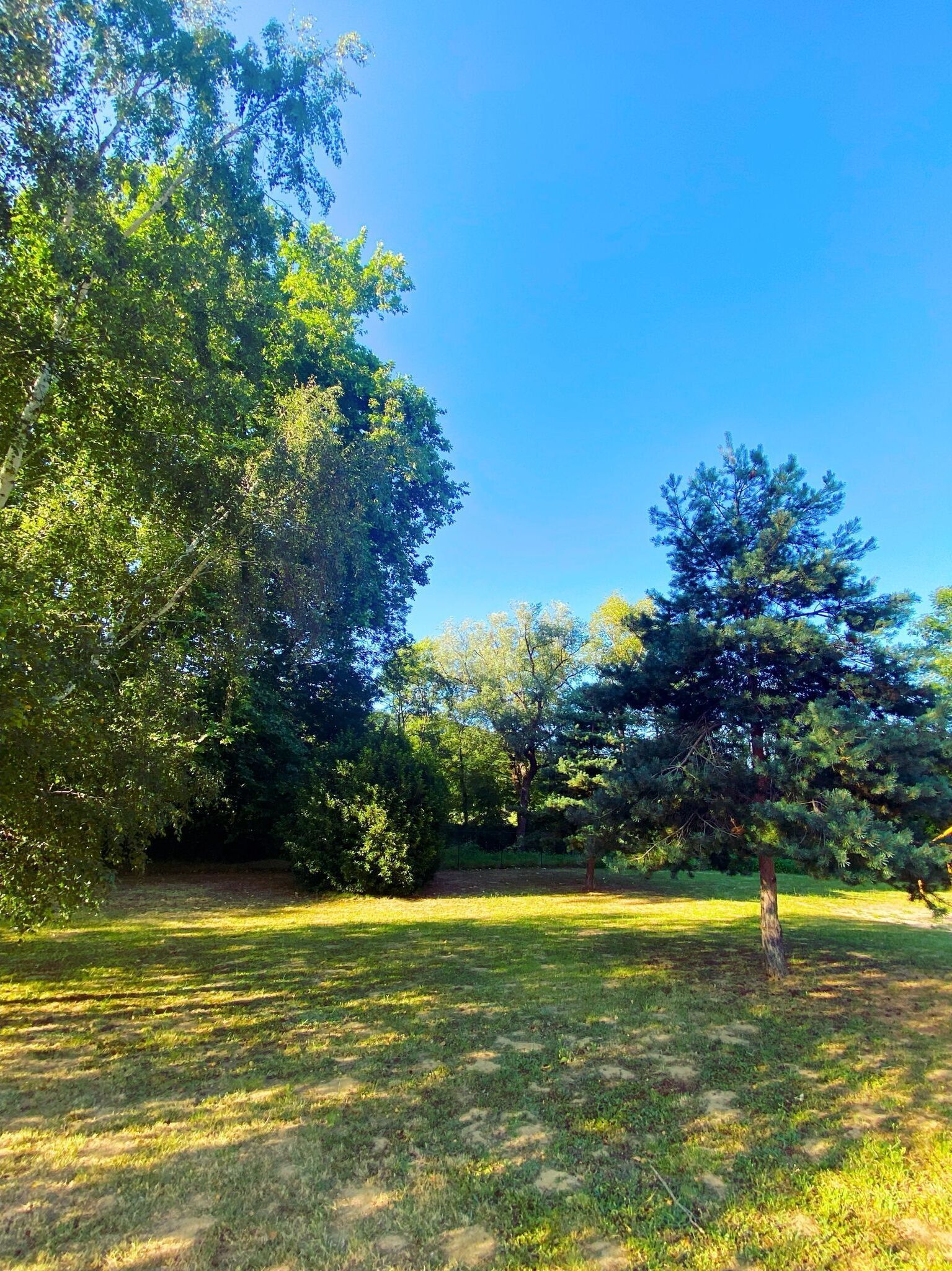 Un parque con varios árboles y una zona verde.