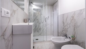Shower, hair dryer, bidet, towels