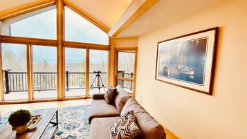 Smart TV, fireplace, books