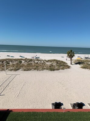 Ein Strand mit weißem Sand, einigen Liegestühlen, einer Palme und einem kleinen Gebäude.