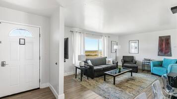 Télévision, cheminée, lecteur de DVD, livres