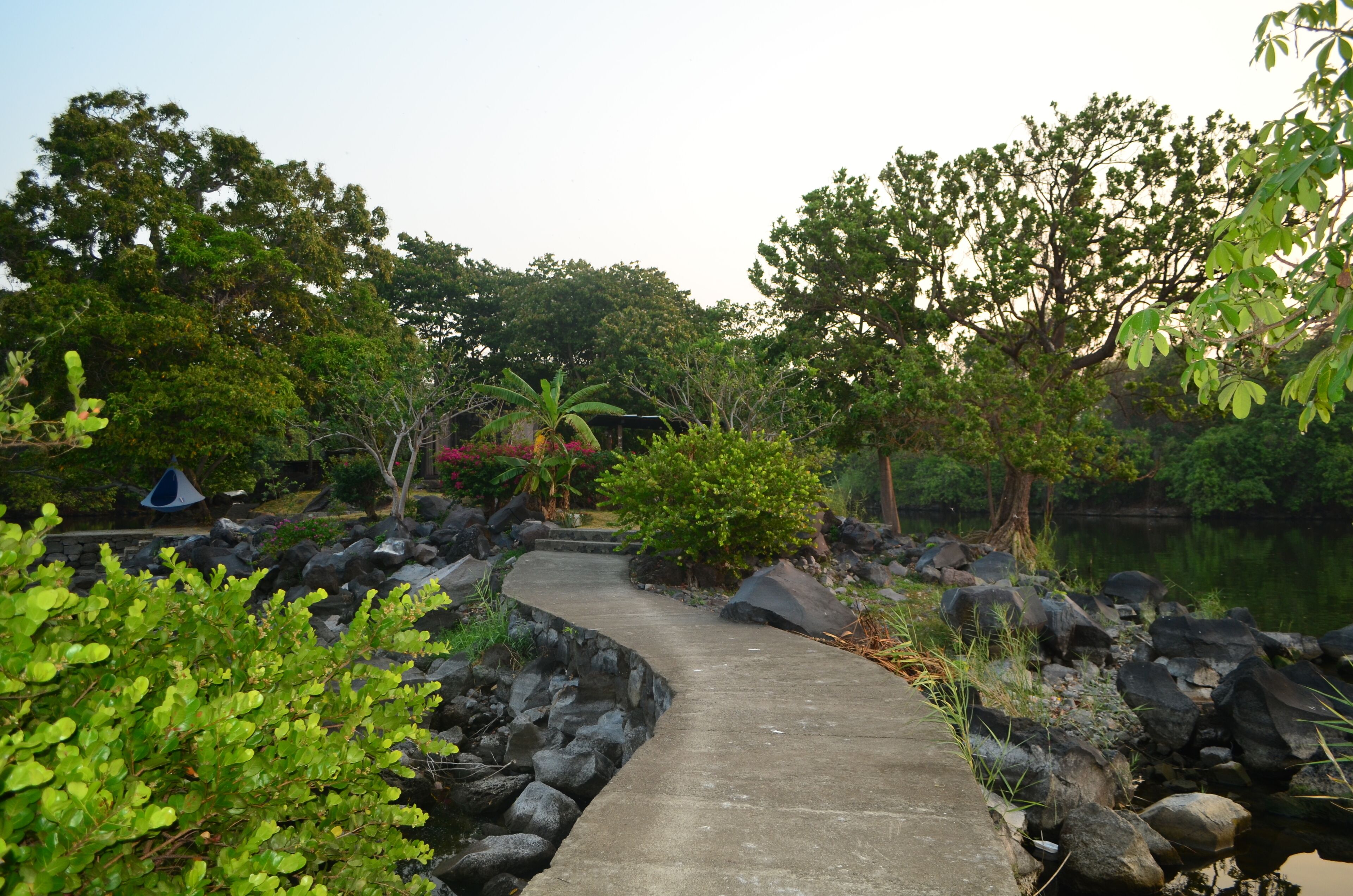 A concrete pathway leading through a natural setting with rocks and greenery.