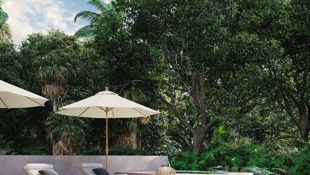 A poolside area with lounge chairs and umbrellas, surrounded by lush greenery.