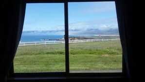 A view from a window overlooking a grassy area with a white fence, a rocky coastline, and the ocean. - Point Arena Lighthouse - Keeper's Room (Point Arena)