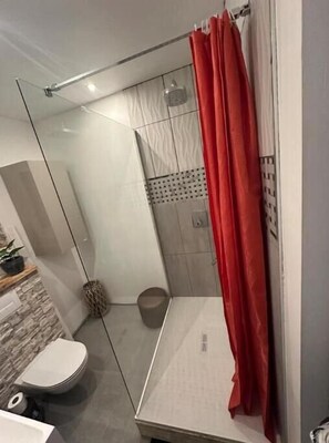 Douche, séchoir à cheveux, serviettes fournies, savon