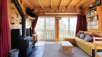TV, fireplace, DVD player, books