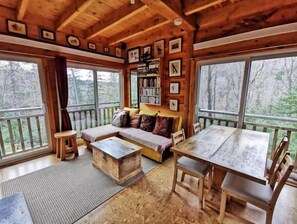 TV, fireplace, DVD player, books