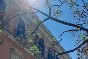 Exterior detail - La Maison de Cavour b&b - Peony (Catania)