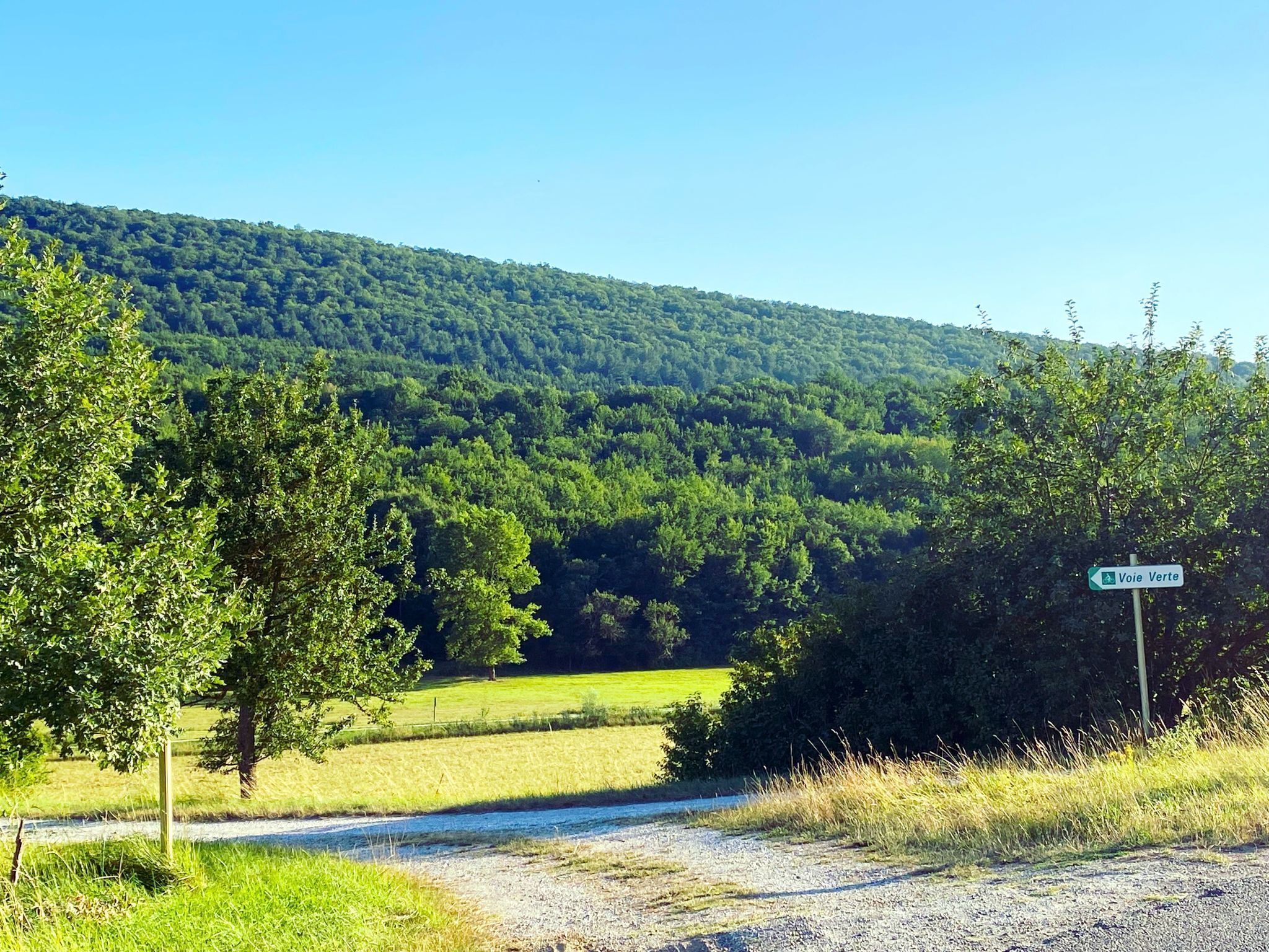 Een landelijk landschap met een onverharde weg, groene velden en een heuvel op de achtergrond.