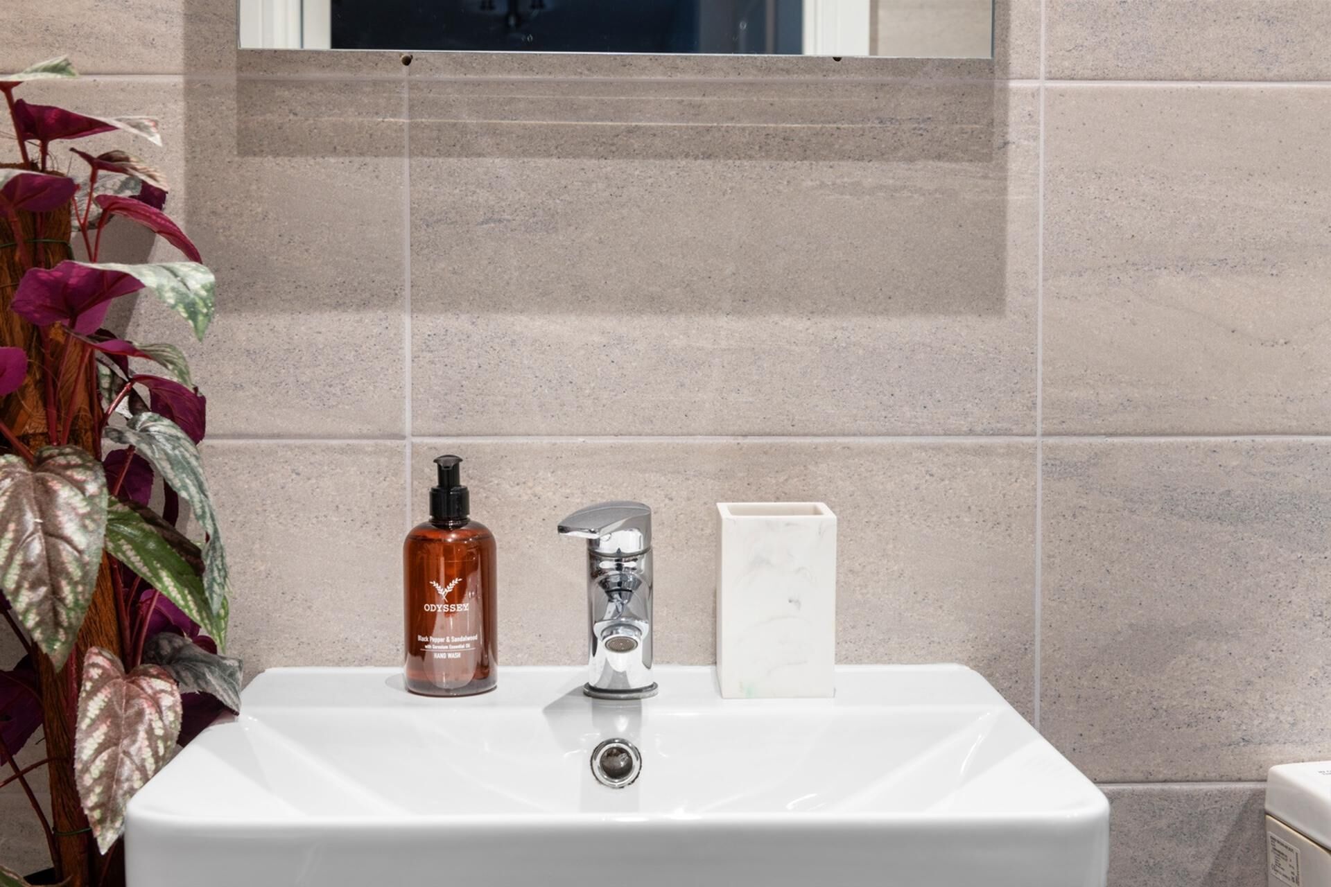 Un lavabo dans la salle de bain, avec un distributeur de savon liquide et un savon en barre, un miroir au-dessus du lavabo et une plante en pot sur la gauche.