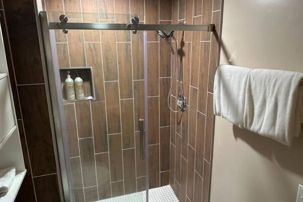 Hair dryer, towels, soap, shampoo