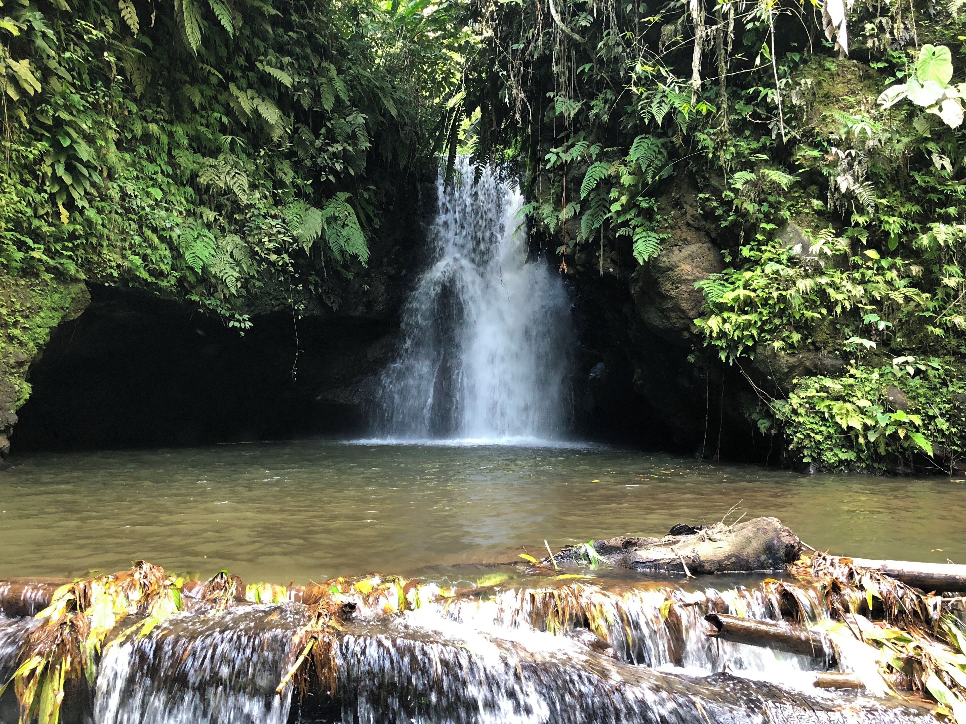 A waterfall in a forested area with dense foliage and a rocky cave entrance.