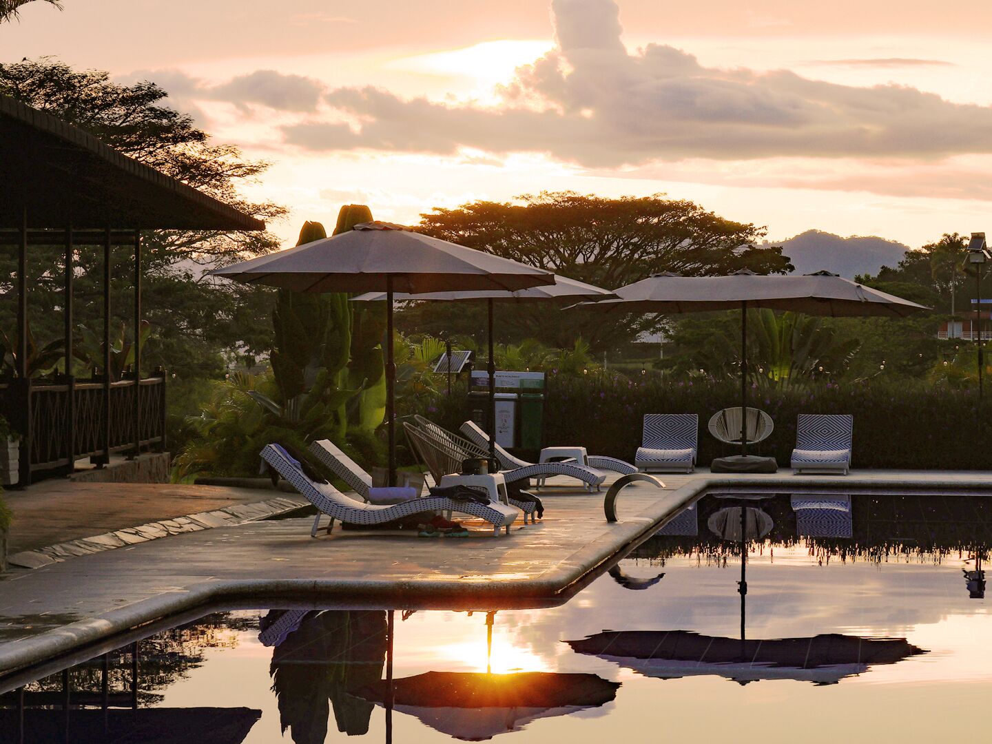 Un espace aménagé au bord de la piscine, avec des chaises longues et des parasols, entouré d’une végétation luxuriante et surplombé d’un ciel dégagé.