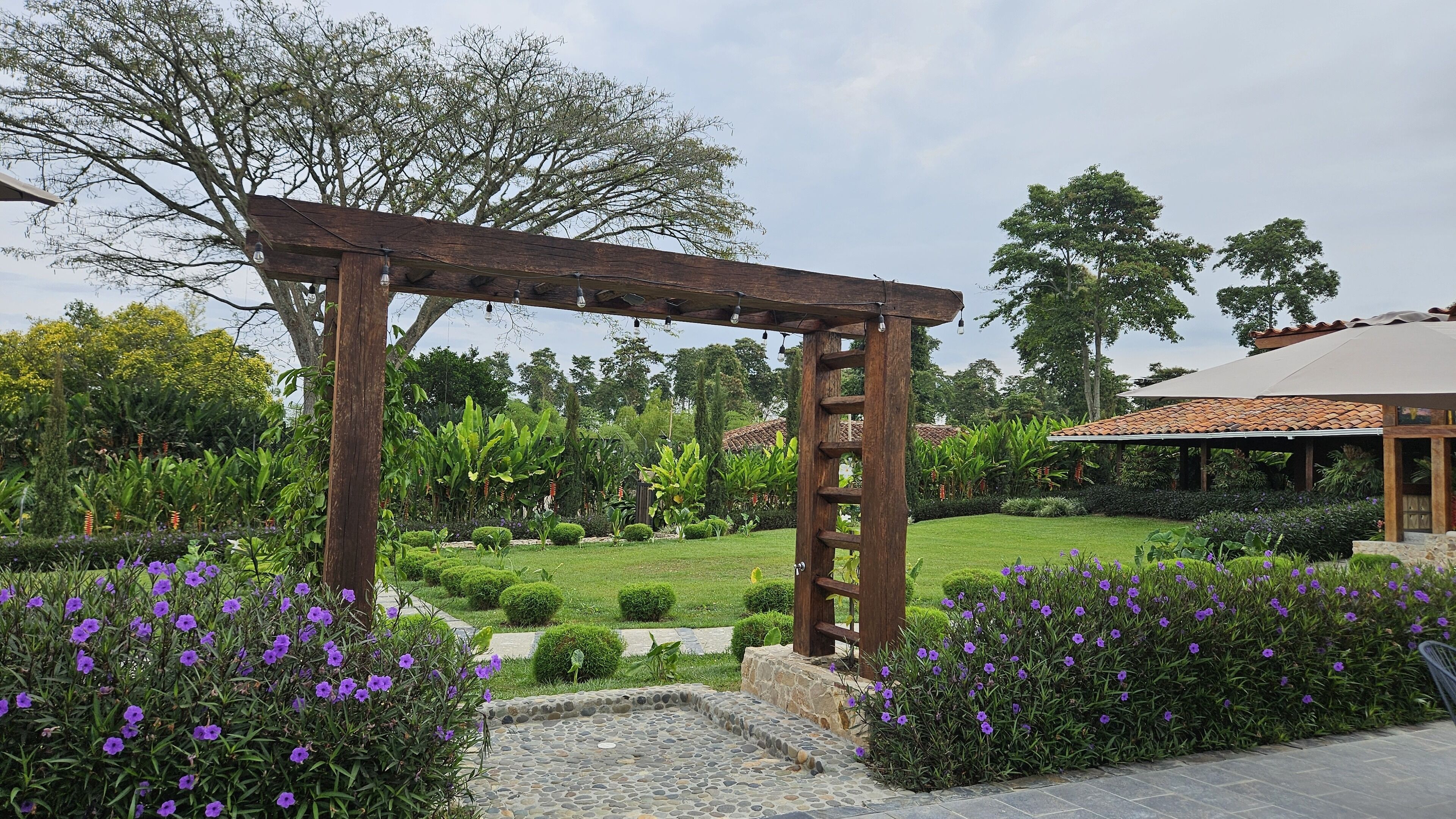 Uma estrutura de pérgola de madeira num jardim, com um caminho de pedra, rodeada por vegetação exuberante e flores roxas.