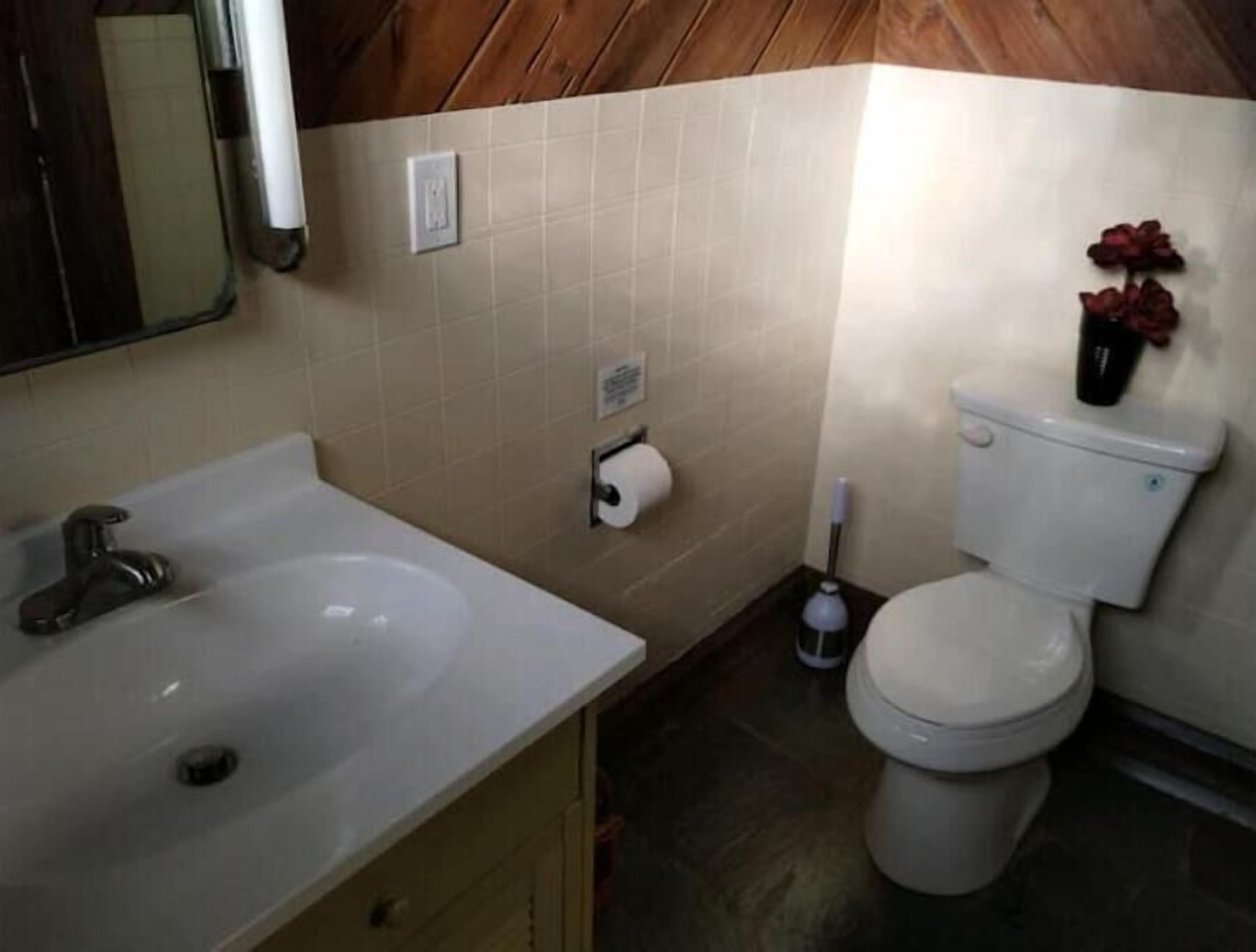 Une salle de bain avec un lavabo blanc, des toilettes et un miroir.