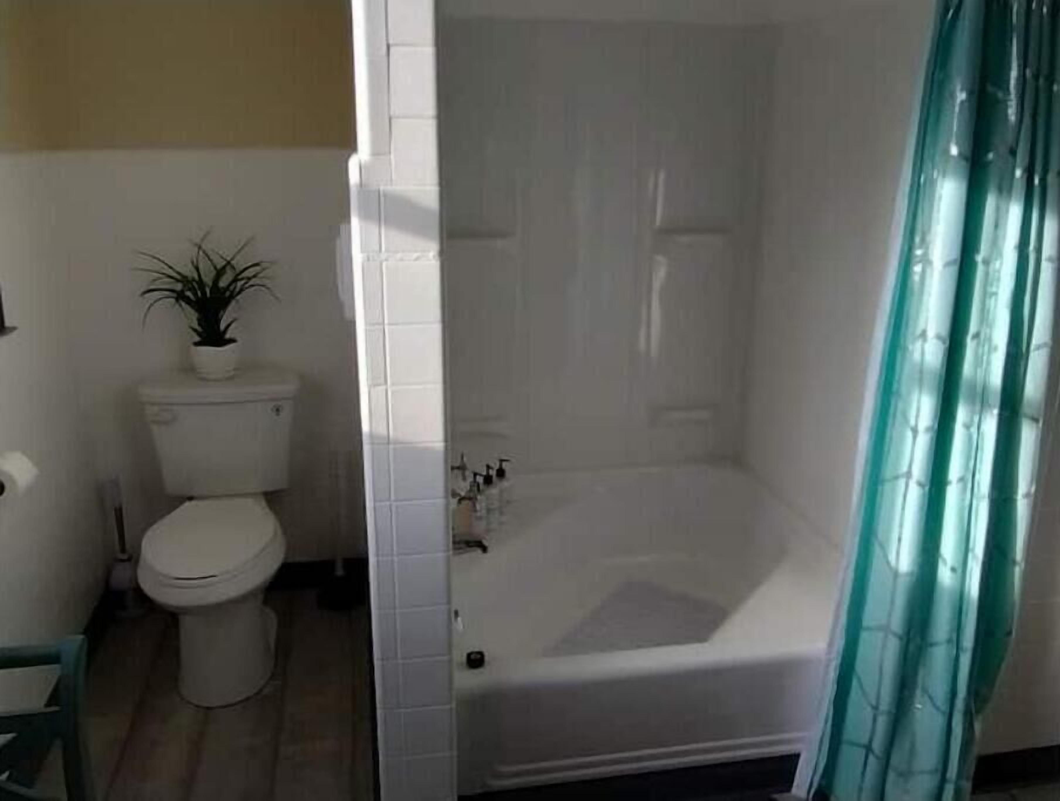 Een haardroger, handdoeken, zeep, shampoo