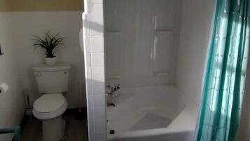 Secadora de cabello, toallas, jabón, shampoo