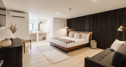 Wonderstone Hotel - Single King + Sleeper Sofa Guest Room