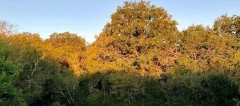 Nuit au Calme, en Pleine Nature