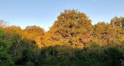 Nuit au calme, en pleine nature