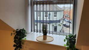 Una ventana con persianas verticales, una planta en maceta en el alféizar y vista a una calle con edificios y automóviles estacionados.