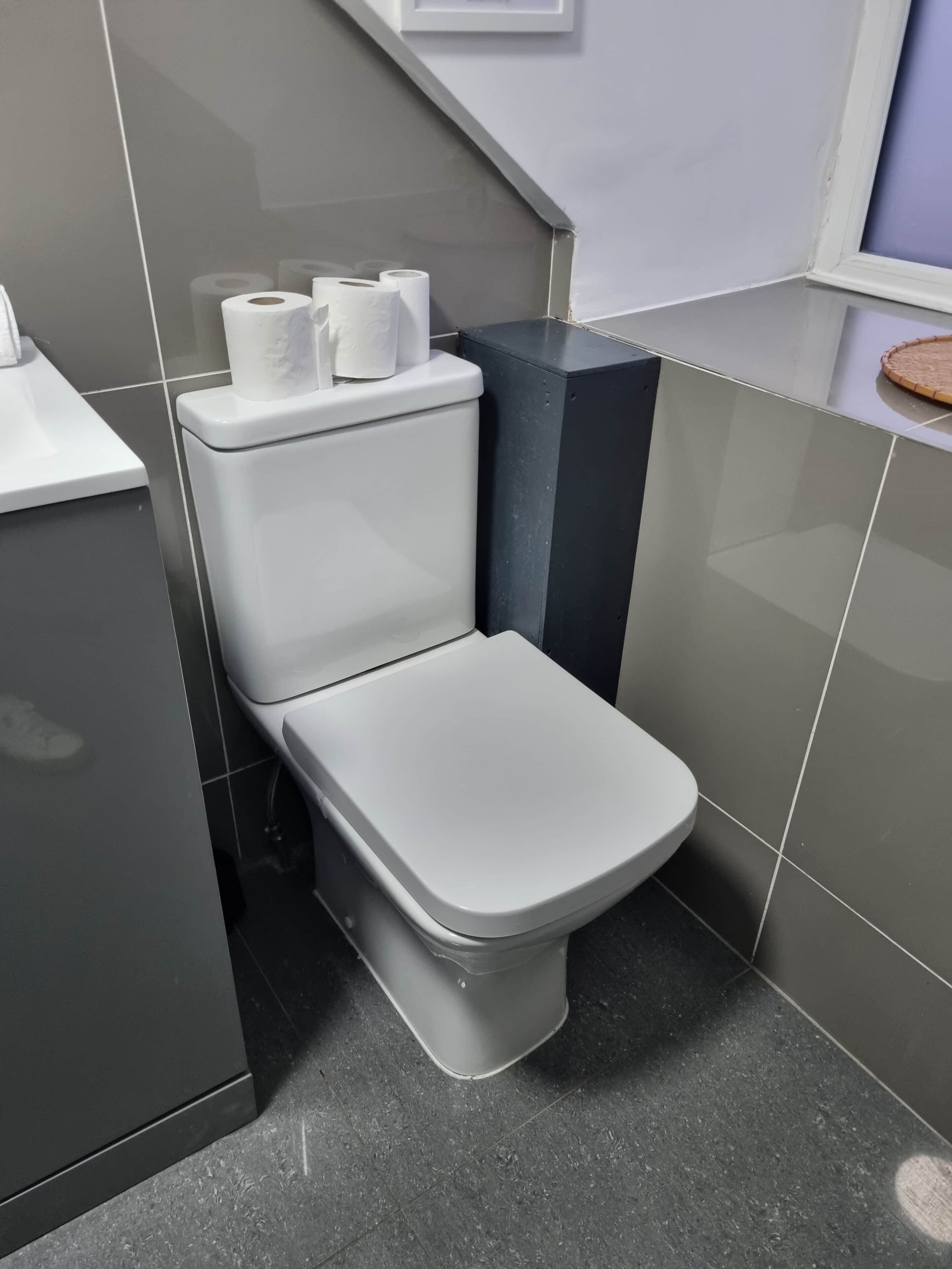 Ein modernes Badezimmer mit Toilette, Waschbecken und Spiegel.