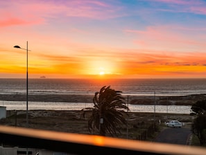 Enjoy breathtaking ocean views from this tranquil beachside retreat, where palm trees sway gently in the breeze.