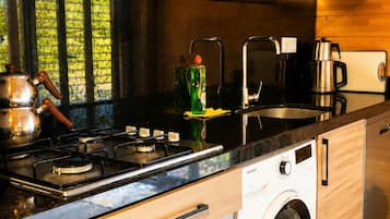Full-size fridge, microwave, oven, dishwasher