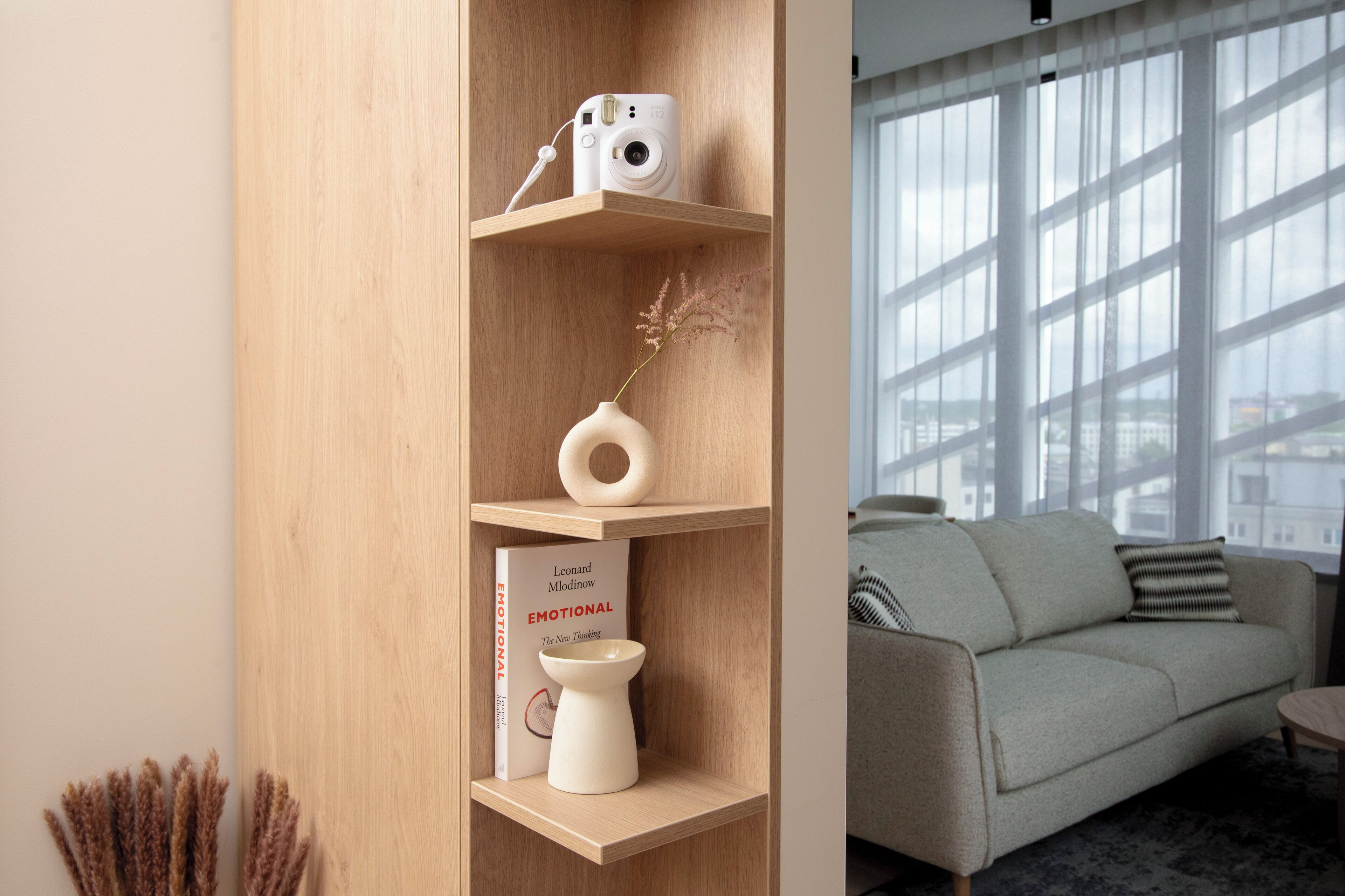 Een moderne woonkamer met een houten boekenkast, een camera en een boek met de titel 'Emotional'.