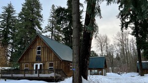 Eine Holzhütte mit einem Metalldach, umgeben von Schnee und hohen Bäumen.