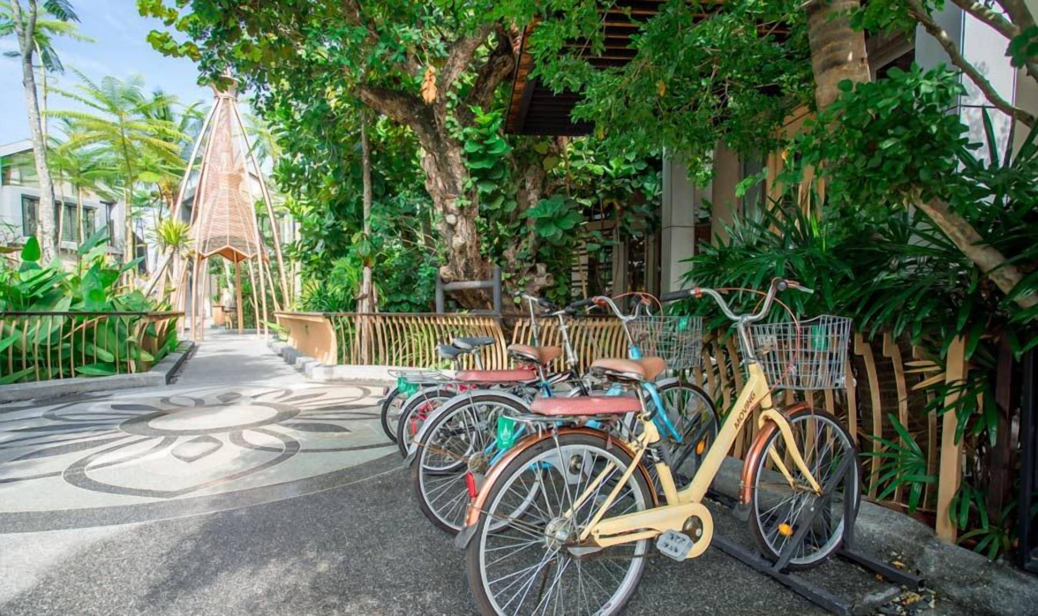 Uma fileira de bicicletas estacionadas ao longo de um caminho com um design decorativo no pavimento, cercada por vegetação exuberante e um cercado de madeira.