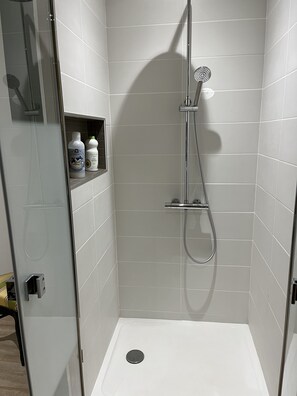 Douche, sèche-cheveux, serviettes fournies, savon