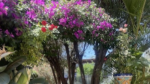 Terrace/patio - Hotel sauces (Tequisquiapan)