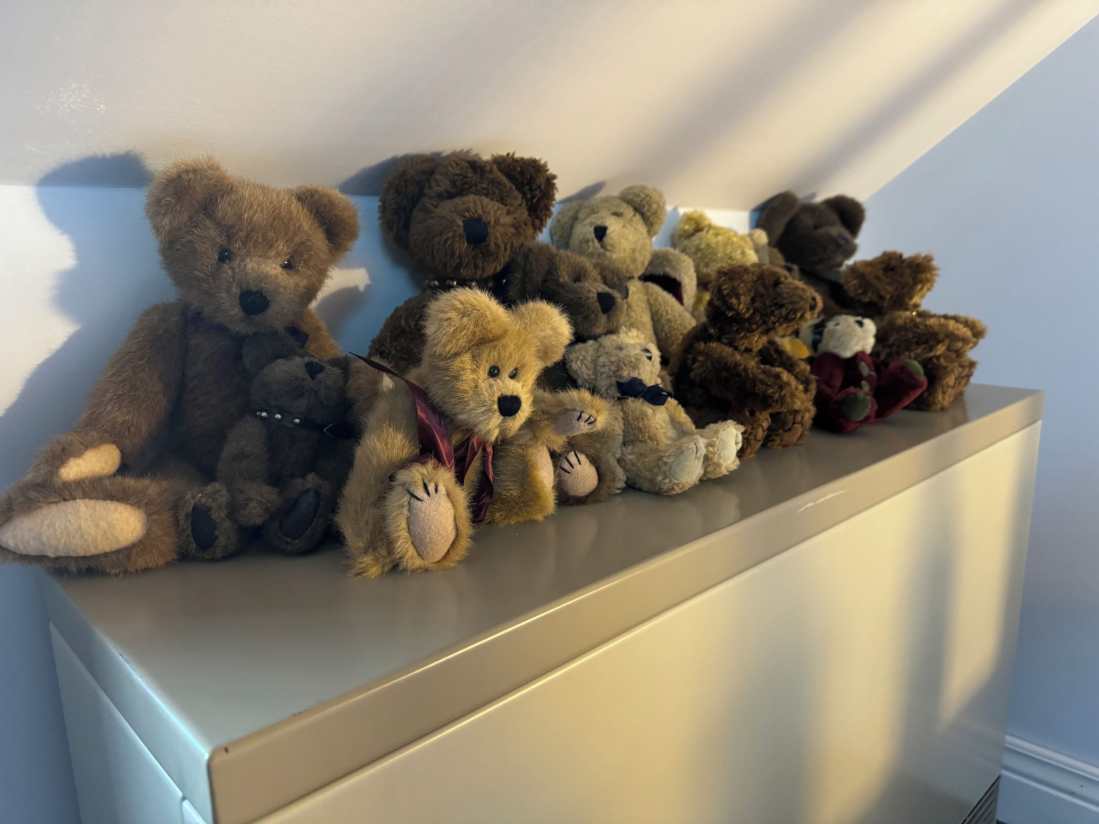 Een rij knuffelberen, netjes op een plank gezet tegen een muur.