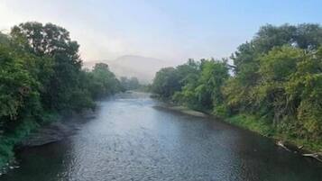 Un río bordeado por abundante vegetación y una montaña al fondo.