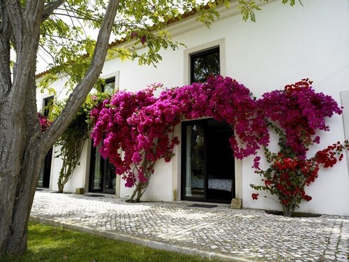 Retiro na Praia a 30 min de Lisboa em Pleno Parque Natural da Arrábida