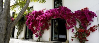 Retiro na Praia a 30 min de Lisboa em Pleno Parque Natural da Arrábida