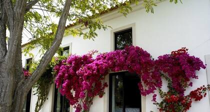 Retiro na Praia a 30 min de Lisboa em Pleno Parque Natural da Arrábida