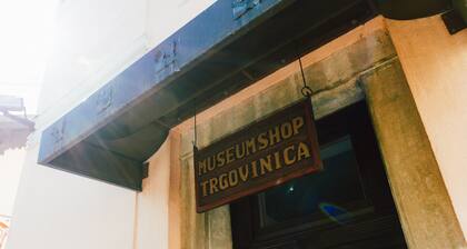 Room in Vransko with Private Bathroom