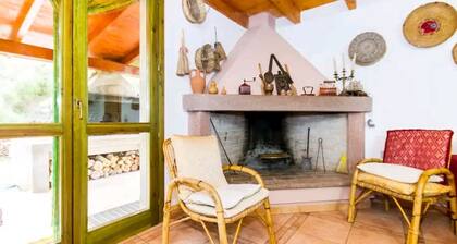 Cottage surrounded by greenery ideal for families