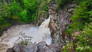 Ein Wasserfall stürzt über eine felsige Klippe, umgeben von üppigem Grün.