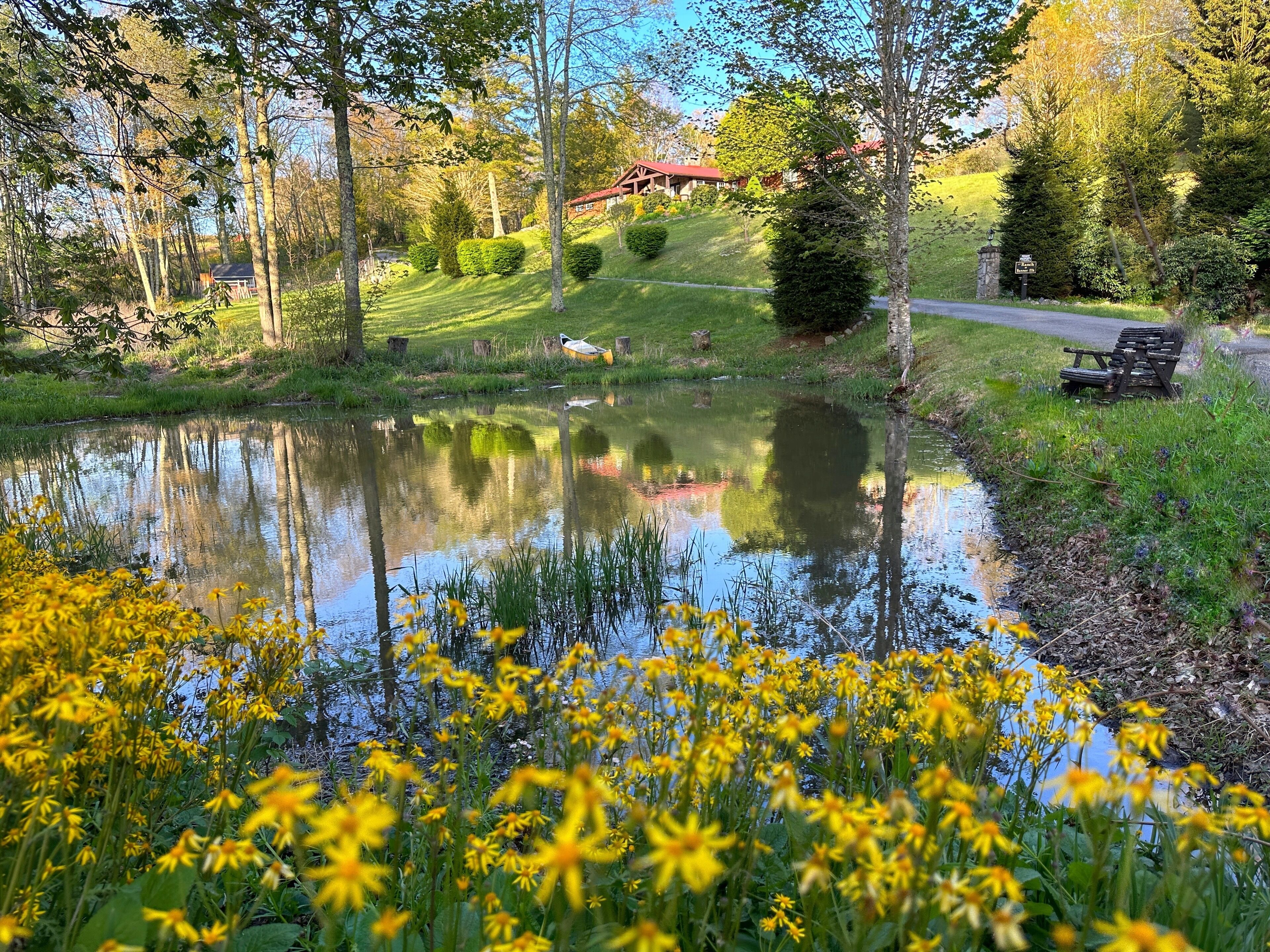 A serene pond surrounded by lush greenery and yellow flowers, with a wooden bench and a sign indicating a nearby trail.