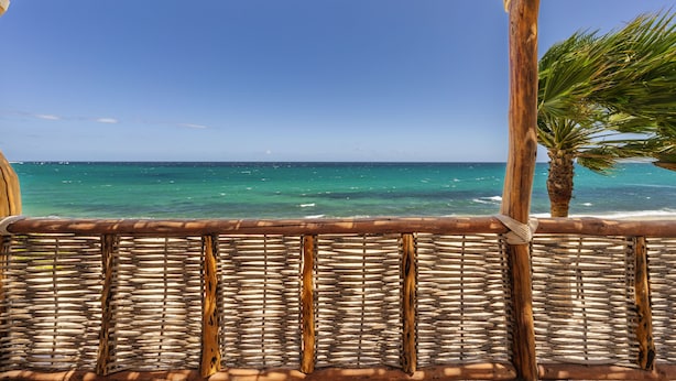 A beach view with a wooden pergola and a palm tree.