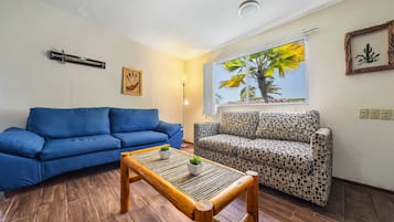 Smart TV, books, music library